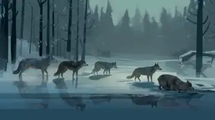 botter17_a_pack_of_wolves_in_the_snow_in_the_woods_in_the_winte_b454127c-21d6-4a65-bd0a-19a03350df0e.png