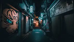 botter17_Japanse_graffitty_night_National_Geographic_F22_wide_a_de38a447-cb77-44b7-9424-daa1aac51ef6.png